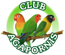 club aga